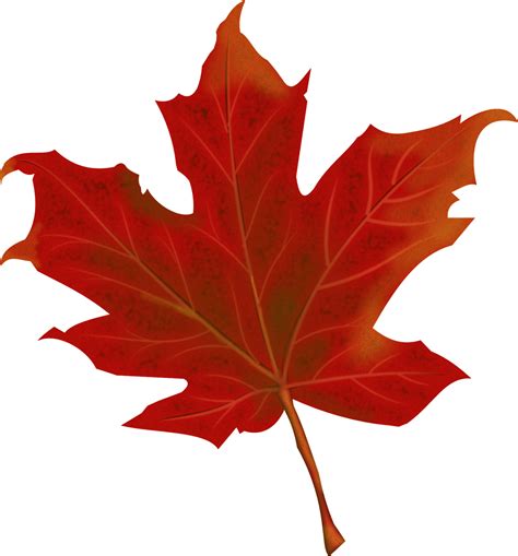 leaf clipart|Leaf Vector Art, Icons, and Graphics for Free .